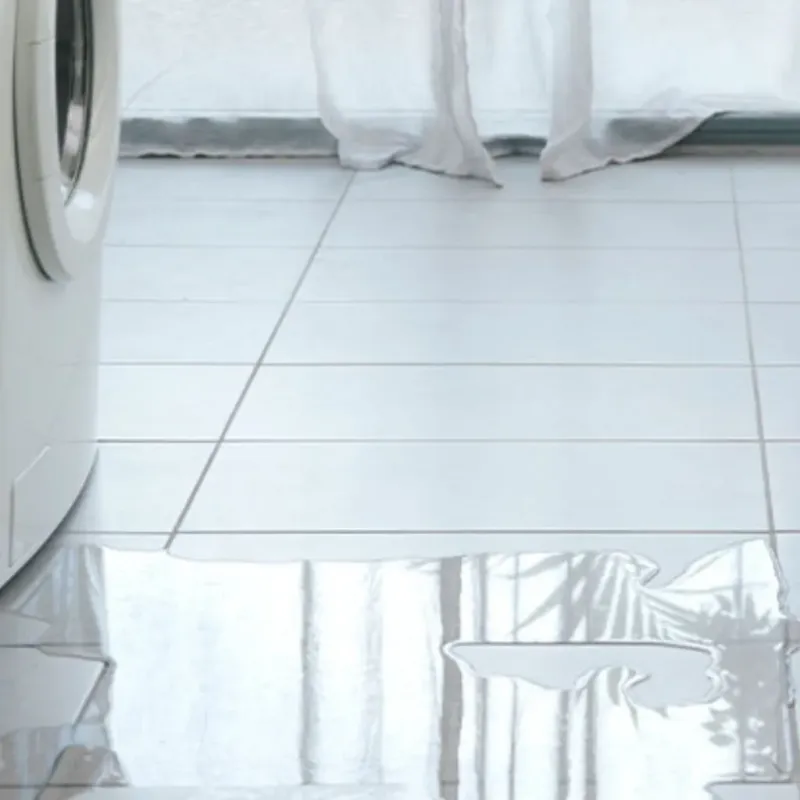 Appliance Leak Cleanup in Cedar Lake, IN