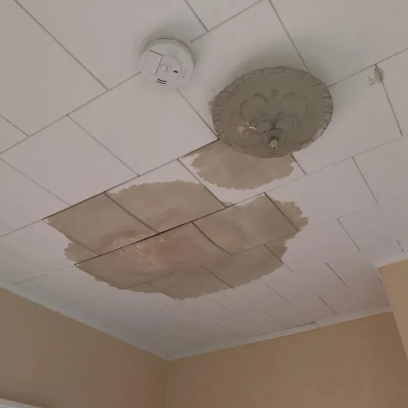 Ceiling Water Damage Repair in Cedar Lake, IN