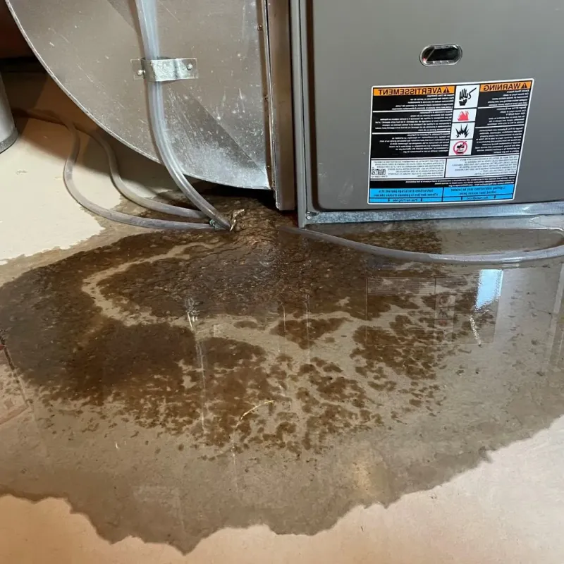Pipe Burst and Leak Restoration in Cedar Lake, IN