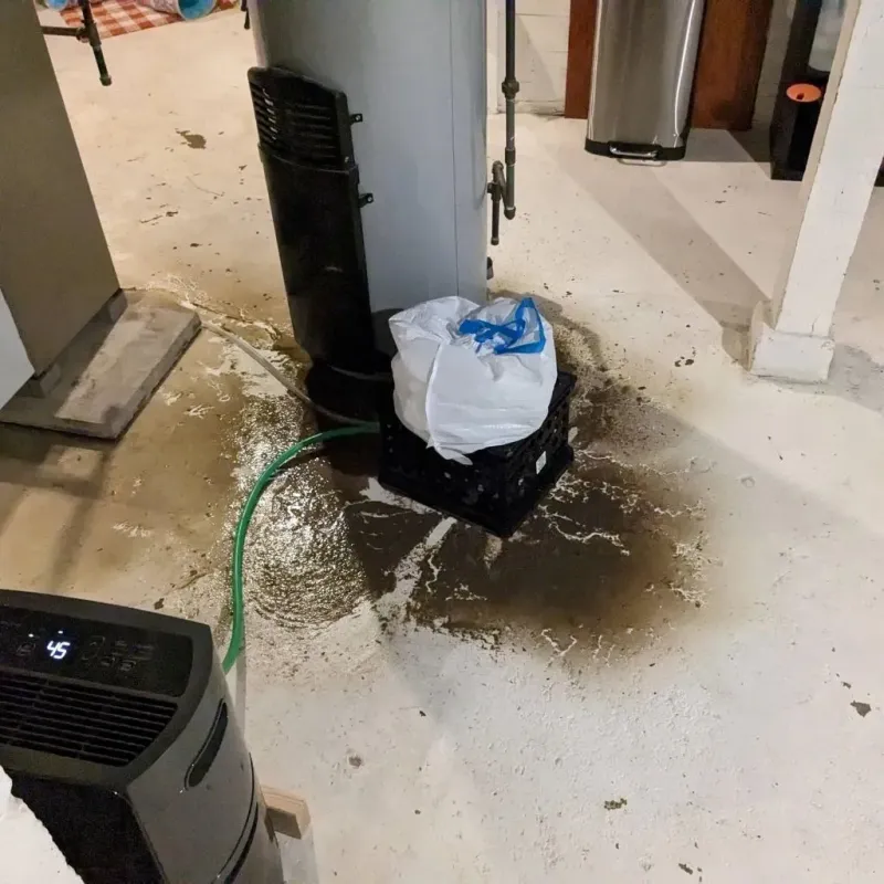 Sewage Backup Cleanup Service in Cedar Lake, IN